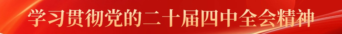 学习贯彻党的二十届四中全会精神